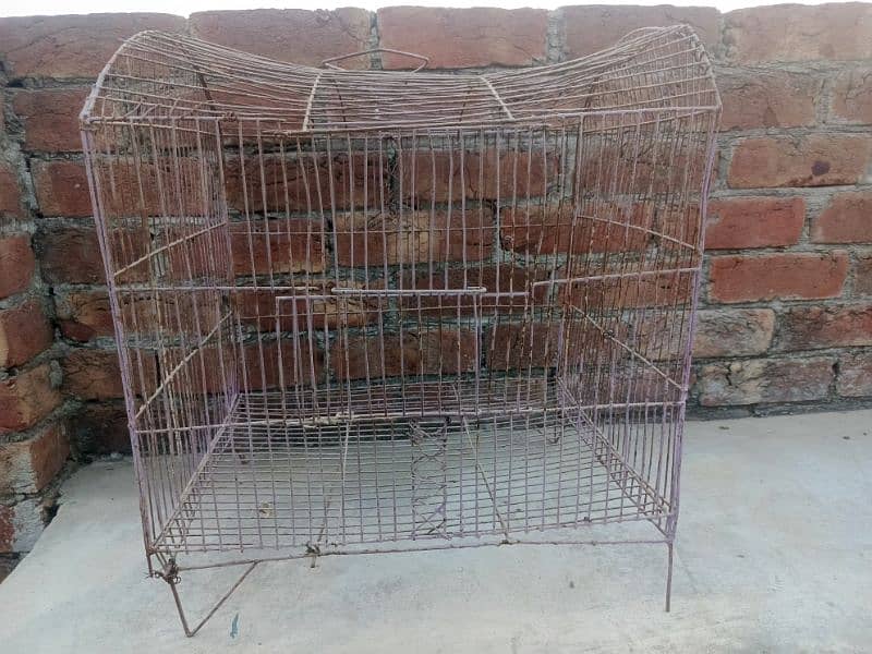 3 Used caught available for sale 5