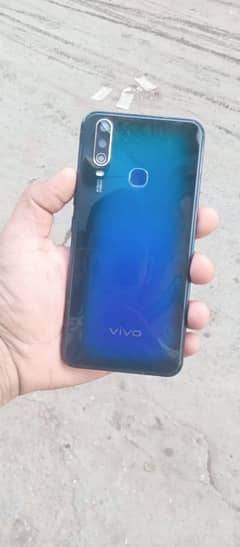 vivo