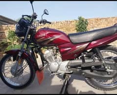 Yamaha Ybz (2019) MODEL | Ybz 125 In Bikes | Ybz 125