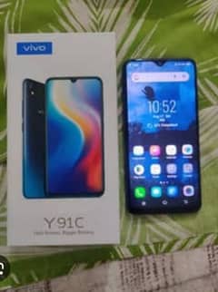 vivo