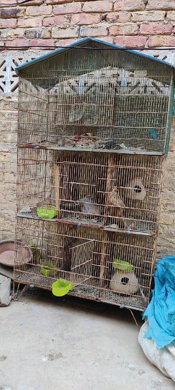 cage for sale 0