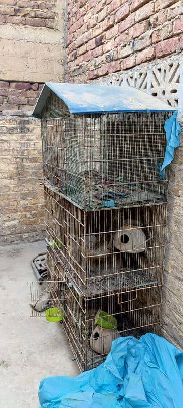 cage for sale 2