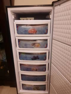 standing freezer for sale