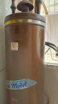 National Geyser 30 Gallon Capacity Tank