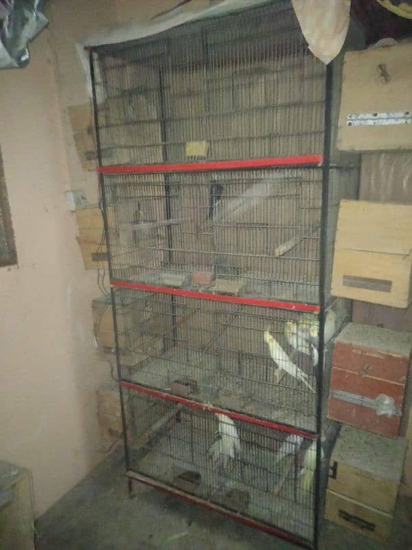 02 cage for sell 0