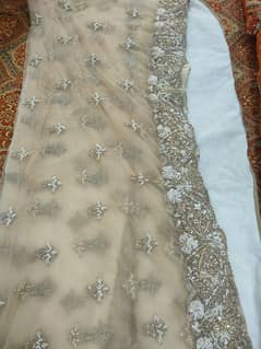 Bridal Walima Dress