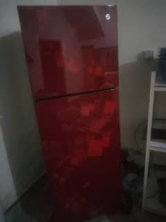 PEL 2ble Door Fridge