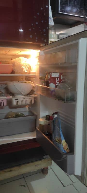 Pel fridge 5