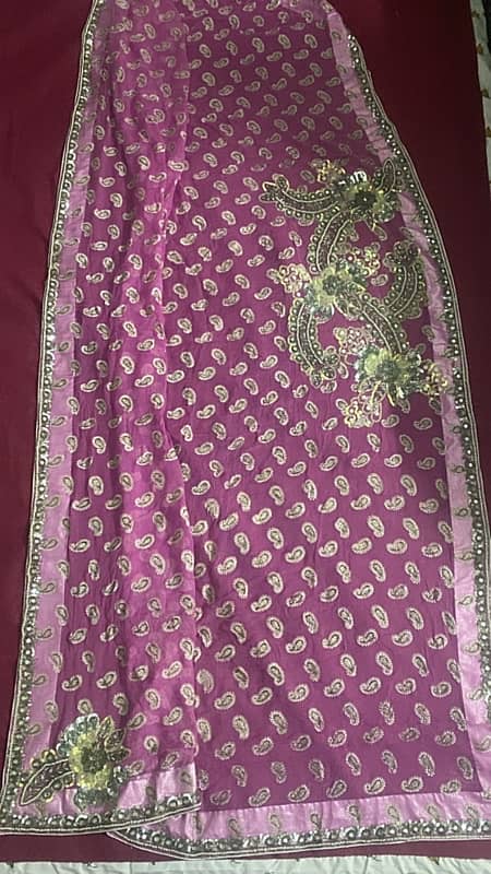 Pink indian Saree 4