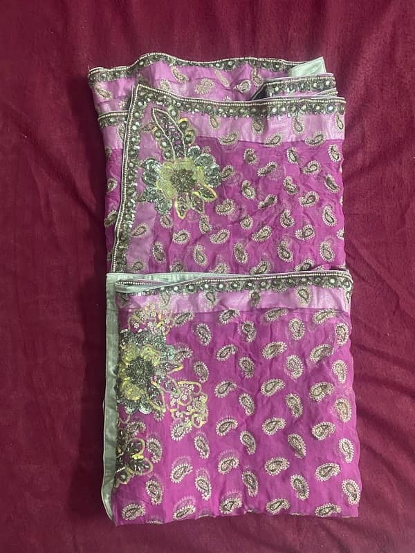 Pink indian Saree 5