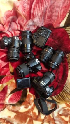 DSLR Cameras & Lenses for Rent – Starting at Just 2500/Day