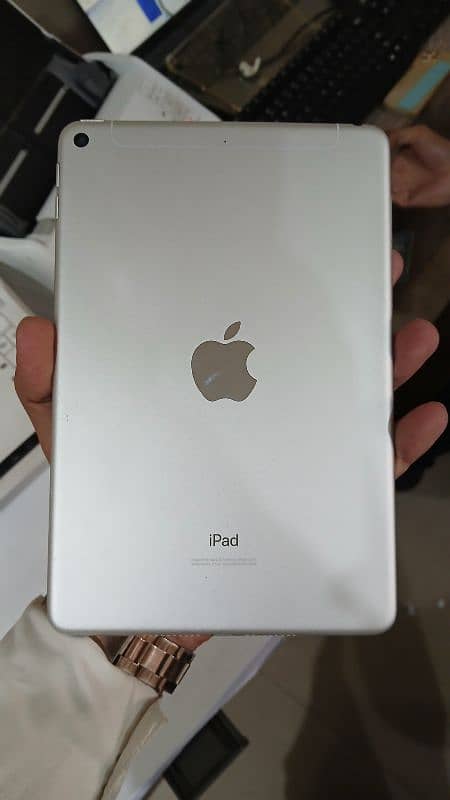 I pad mini 5 0