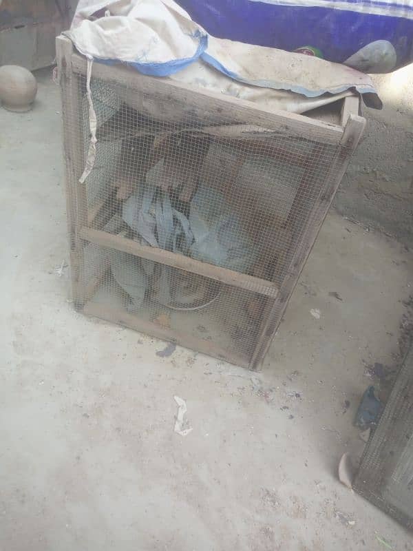 cage for sale 1