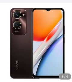 vivo