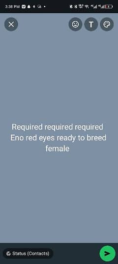 required Eno cocktail female