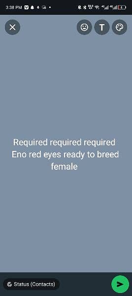 required Eno cocktail female 0