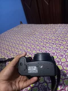 Nikon d3100 with high quality lenses