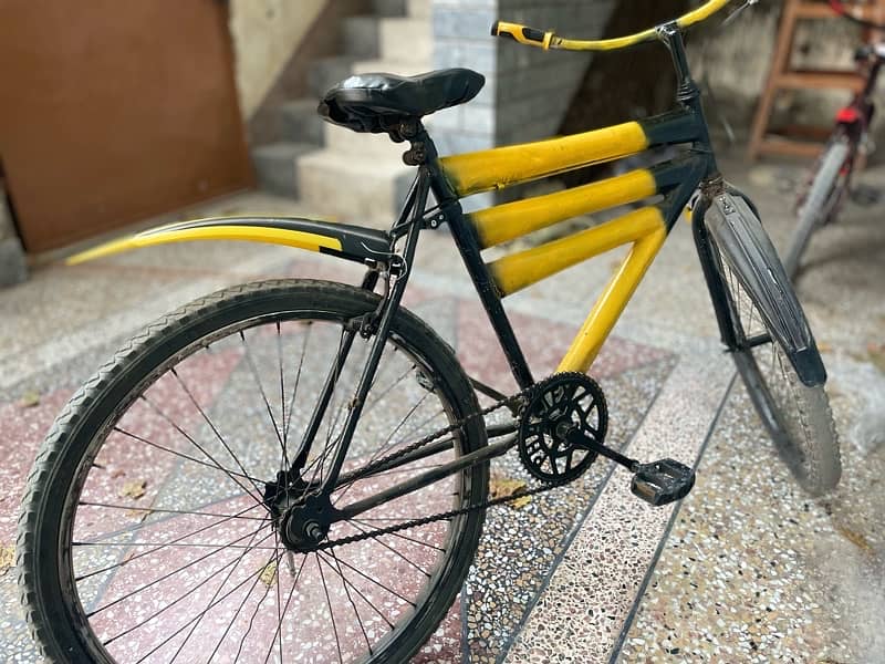 bicycle ( strong frame) 4