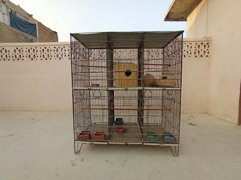 Birds Steel Cage 0