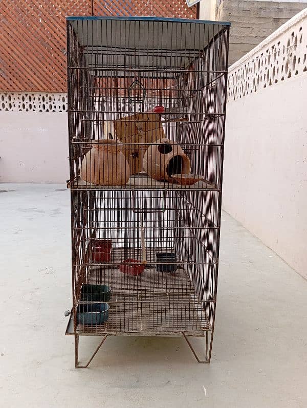 Birds Steel Cage 2