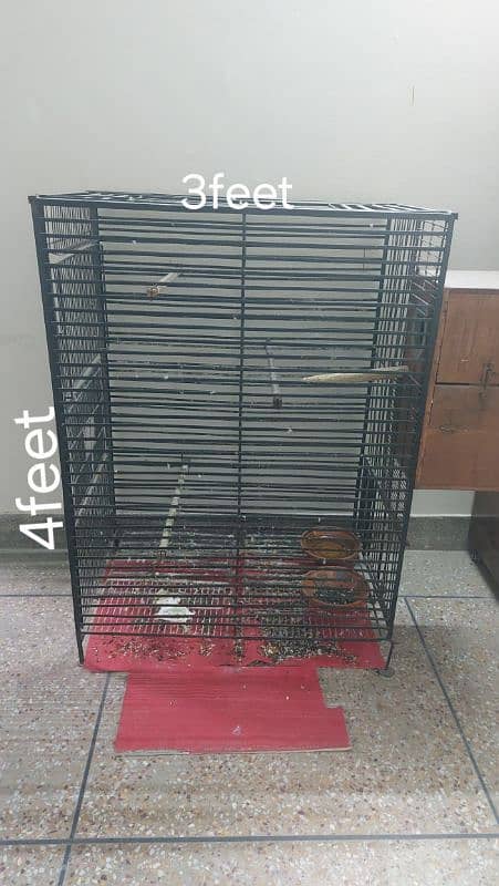 raw breeder pair parrot for sale with cage and box 6