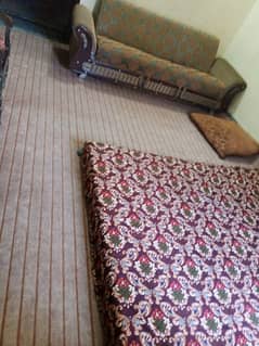 Brand new carpet Only 1 day used