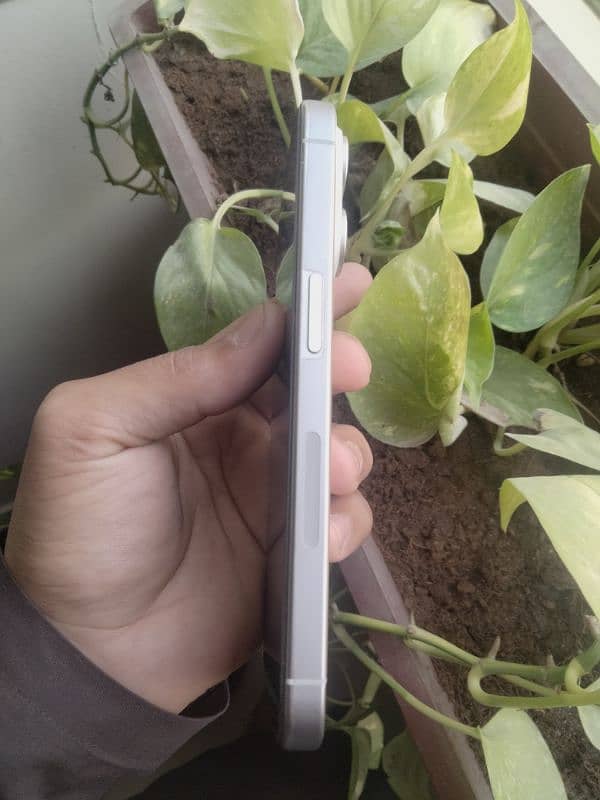 iphone 15 pro natural white colour 1