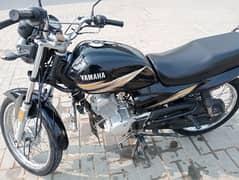 yamaha