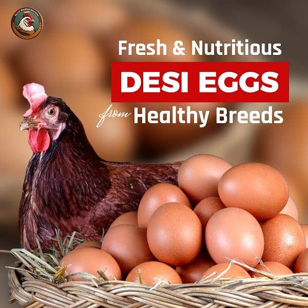 Desi Eggs 3