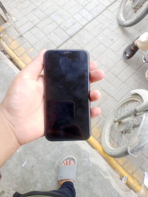 iPhone 11 pta aproved lush condition  all ok panel chng h bs 2