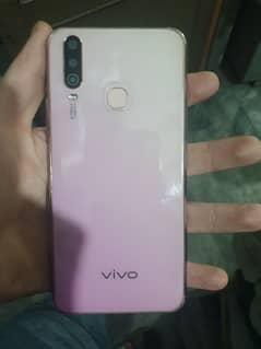 vivo