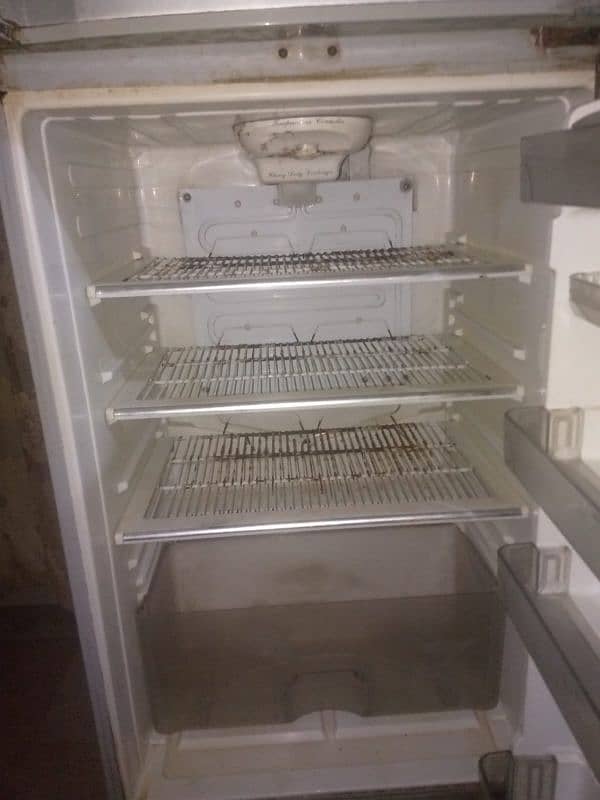 Fridge 3