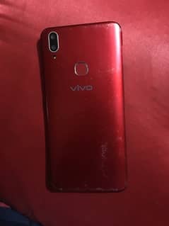 vivo