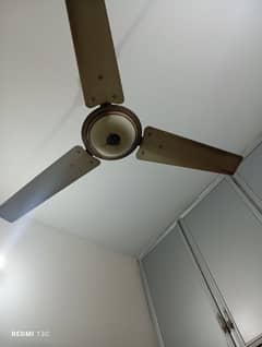 ceiling fan 56"