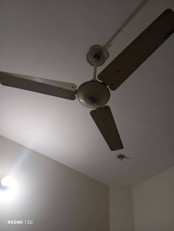 ceiling fan 56" 1