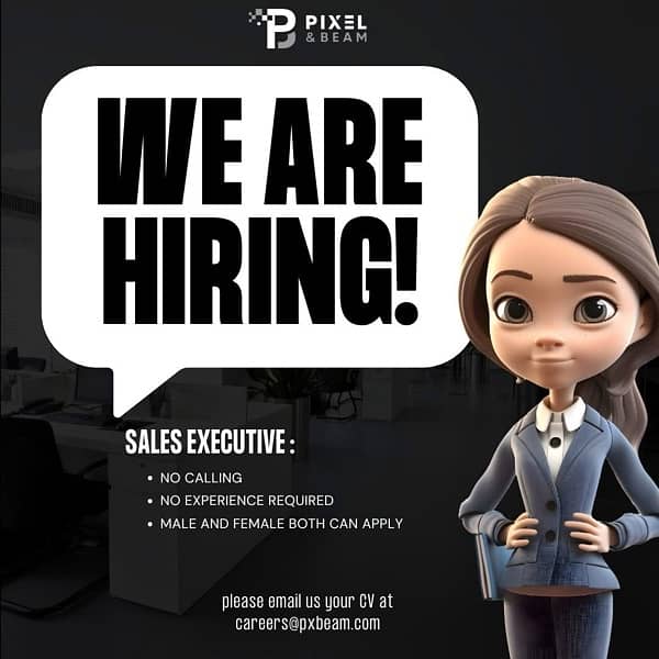 Sales Executive 0