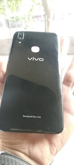 vivo