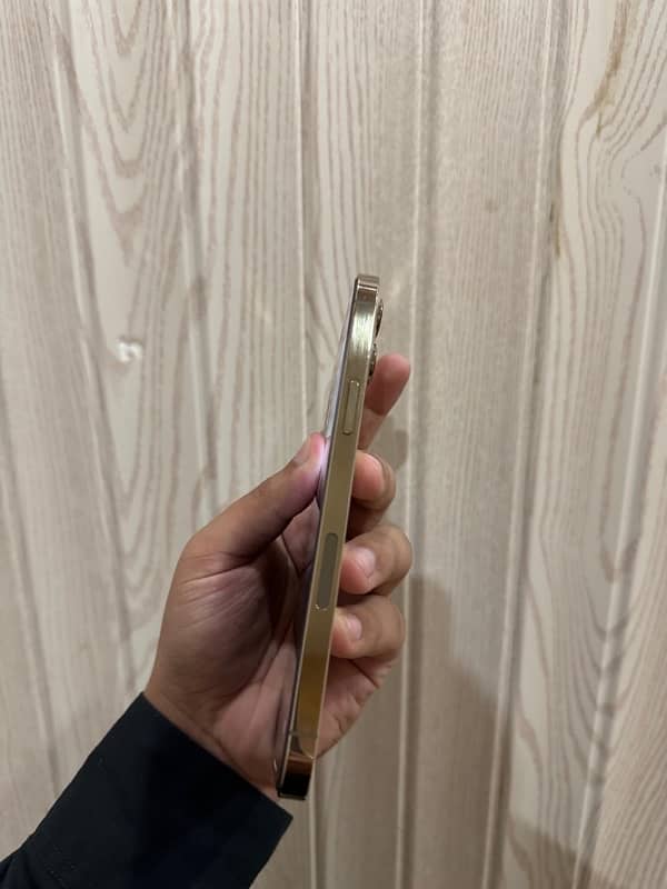 iphone 12 pro max 128gb pta approved 0