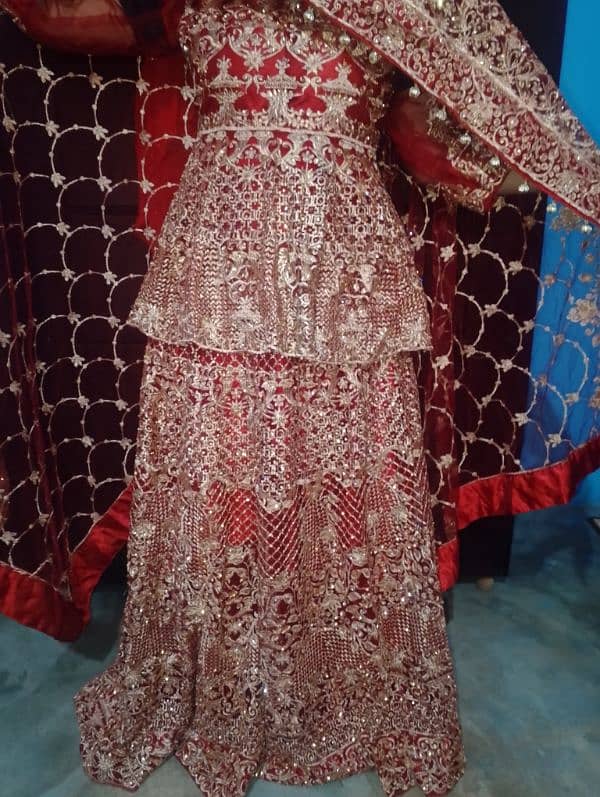 Bridals Sharara 0