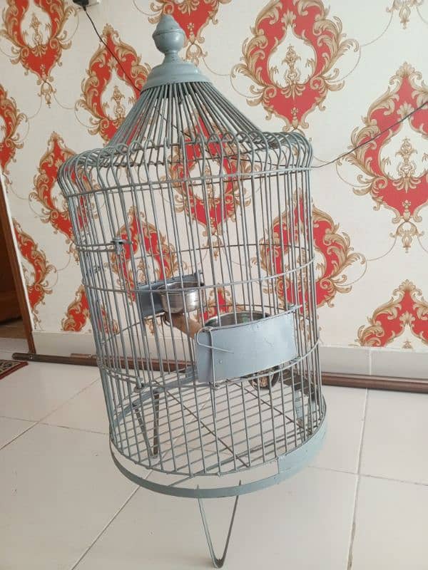 Gray Parrot cage 1