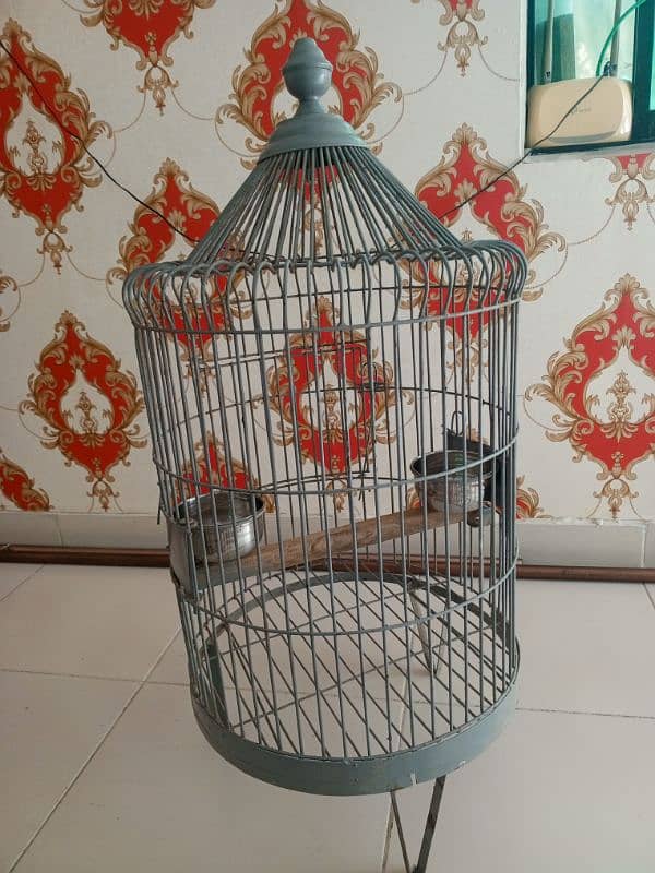 Gray Parrot cage 2