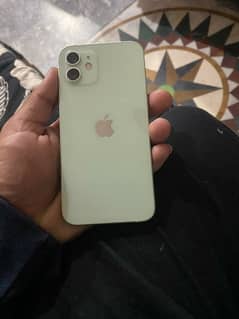 Iphone 12 PTA approved