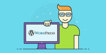 WordPress & Website Developer Internship