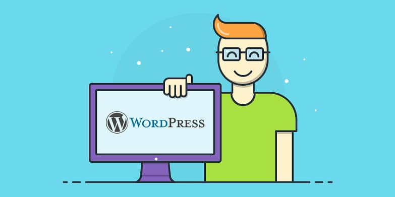 WordPress & Website Developer Internship 0