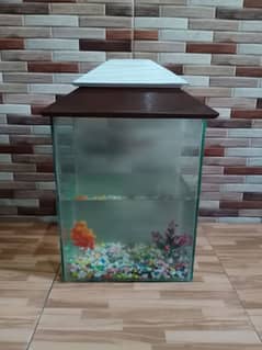 Aquarium for sale