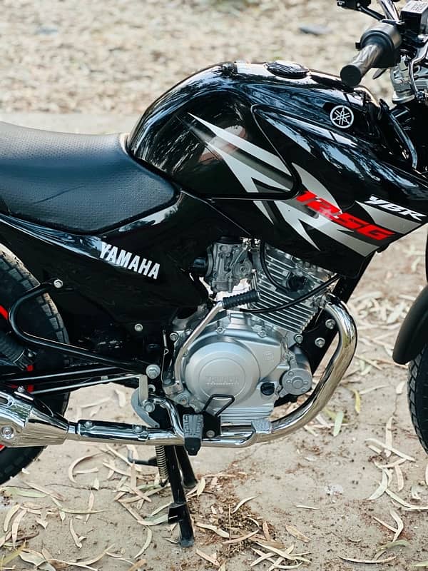 Yamaha YBR 125G 2018 (Antique ) Low Mileage 12