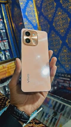 vivo