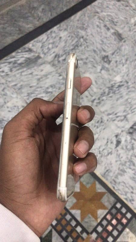 iPhone 7 pta approved 3