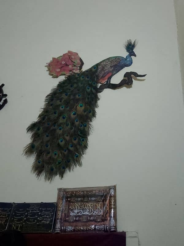 peacock art 0