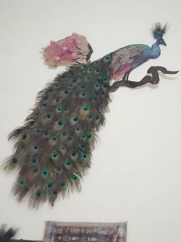 peacock art 1